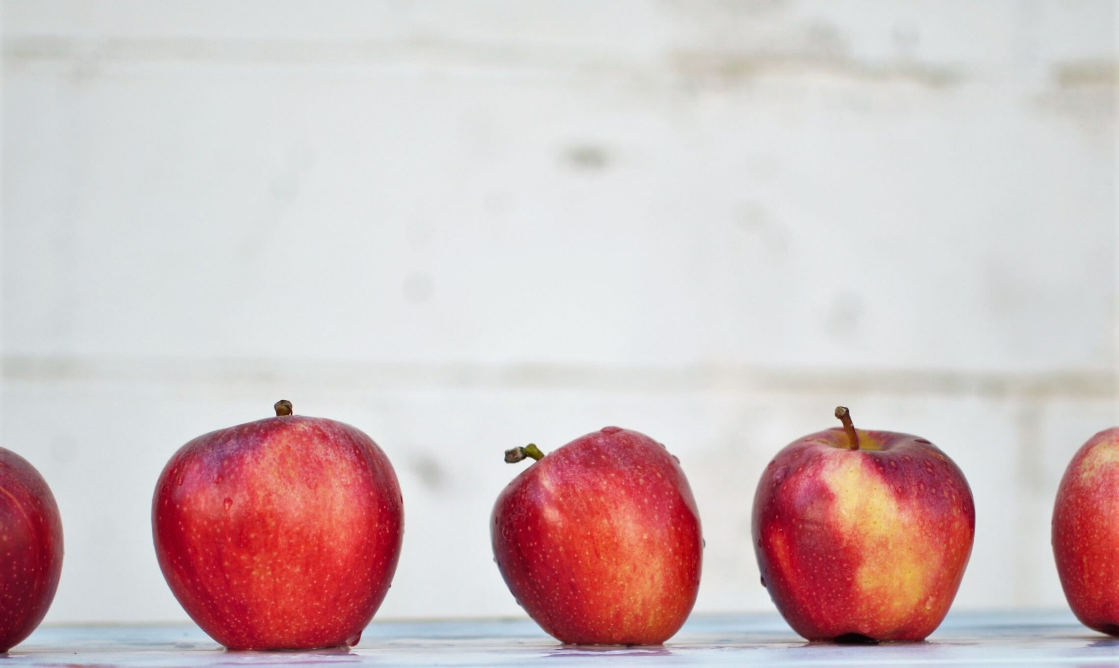 Pais já podem informar aos colégios se querem que os filhos recebam merenda  vegana