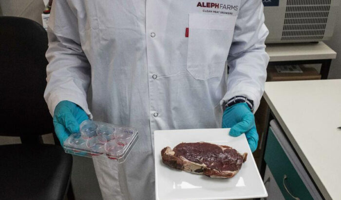 Empresa de carne cultivada - Aleph Farms