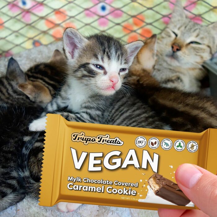 Startup de chocolate vegano - santuário de animais 