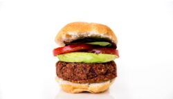 Fim da carne: hambúrguer vegano