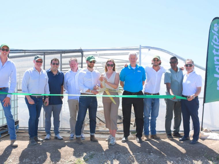 Plantible inaugura fábrica de proteína de lentilha-d’água e busca investimento