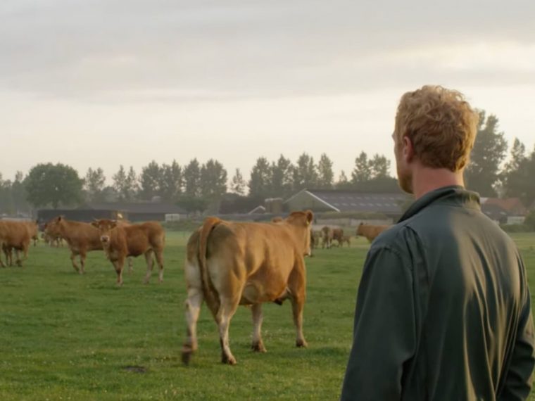 União Europeia apoia a criação da primeira fazenda de carne cultivada do mundo