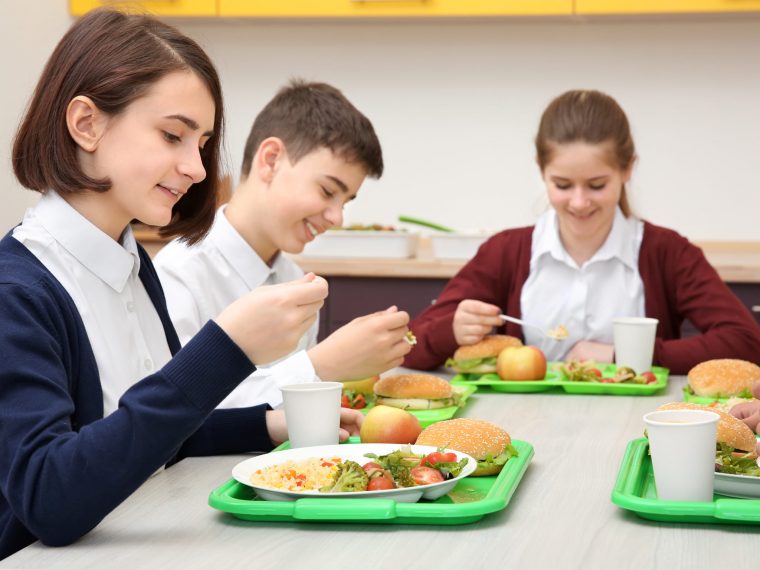 Projeto de lei nos EUA propõe US$ 10 milhões para levar refeições plant-based às escolas