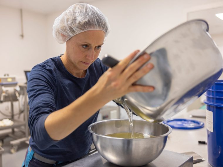 Três startups de chocolate sem cacau vencem o New Chocolate Challenge da Bühler
