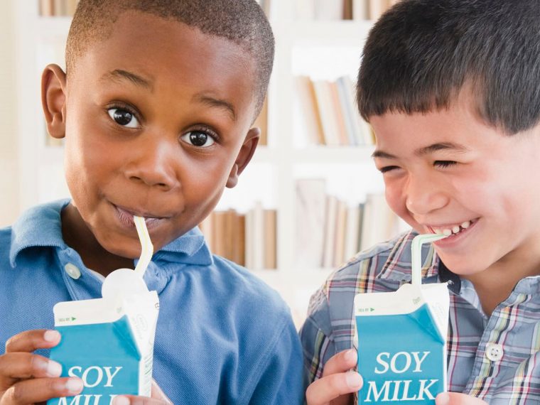 EUA aprova lei que amplia oferta de leites vegetais nas escolas