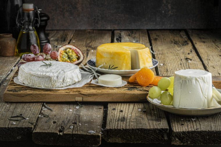 Those Vegan Cowboys capta €6,25 milhões para levar a caseína sem animais ao mercado em 2026