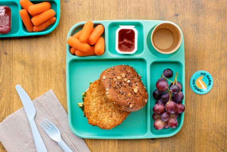 Rebellyous Foods reduz custos e acelera a paridade de preços da carne vegetal
